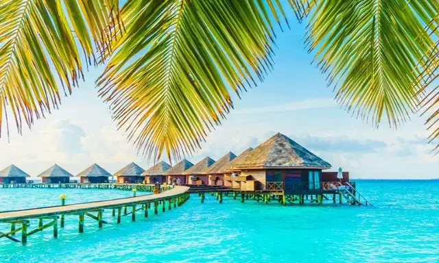 Maldivet