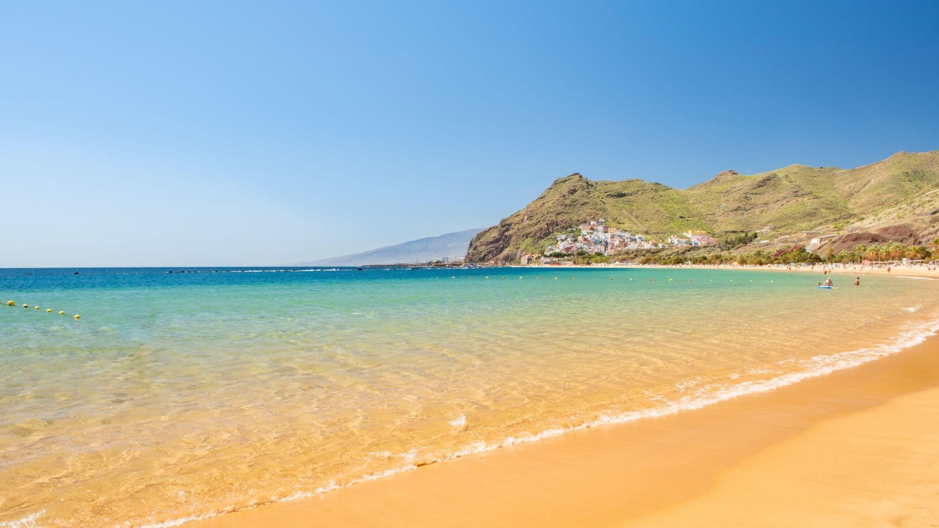 canaries