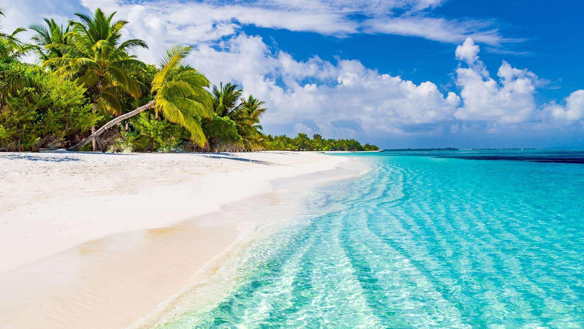 maldives