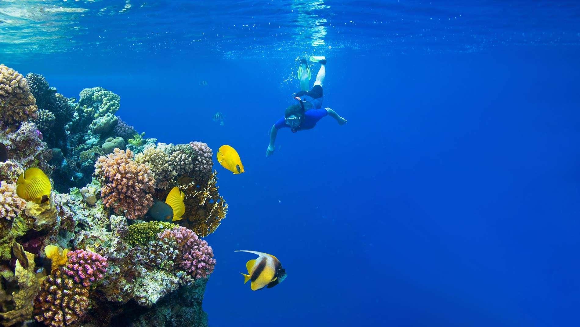 redSea