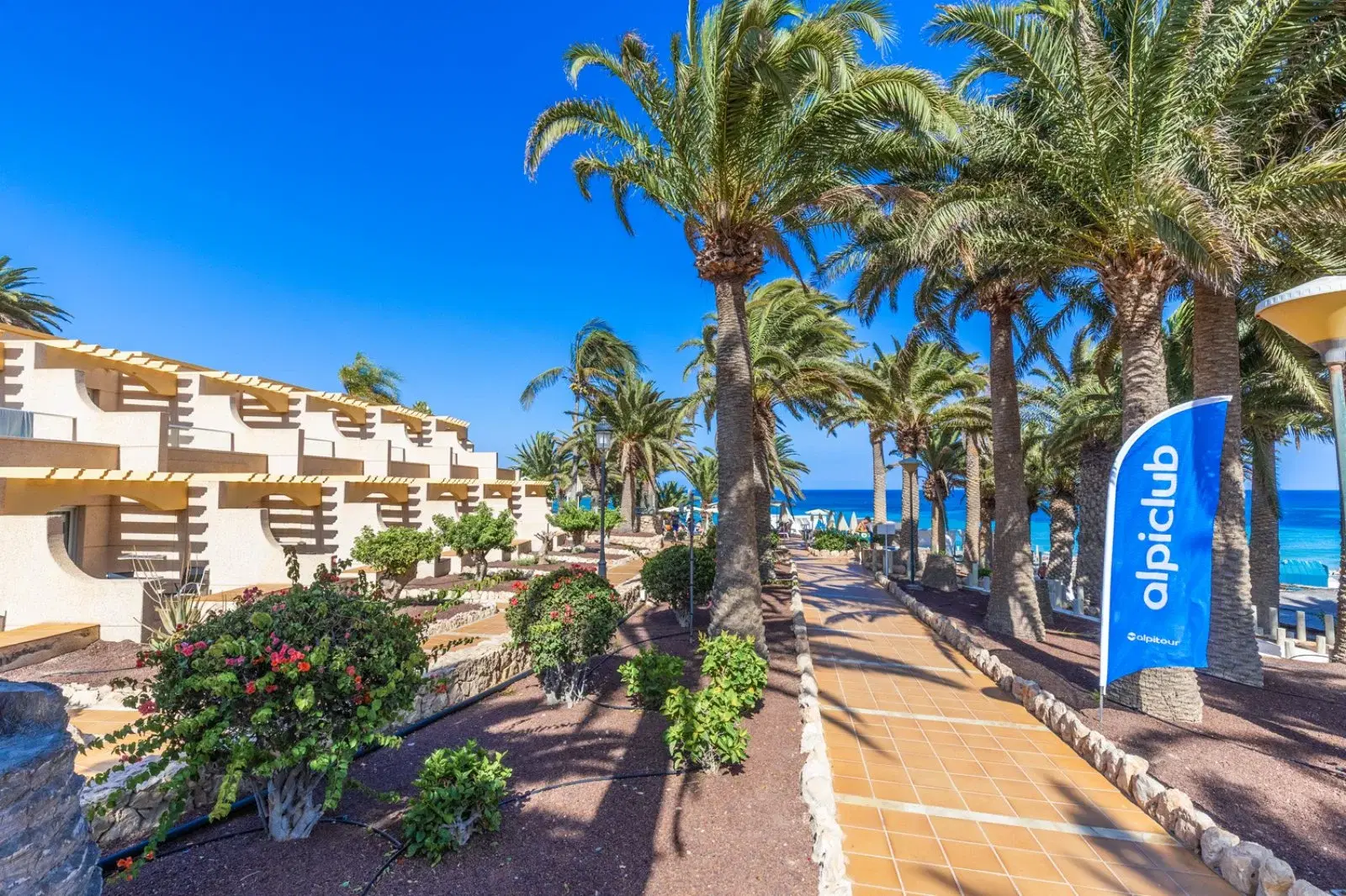 Riu Palace Oasis