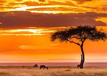 Kenia